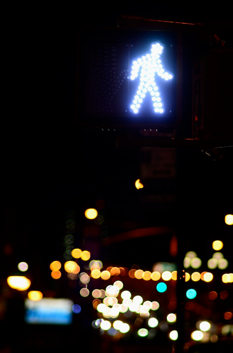 Illustration for article titled Shooting Challenge: Bokeh, Gallery 3